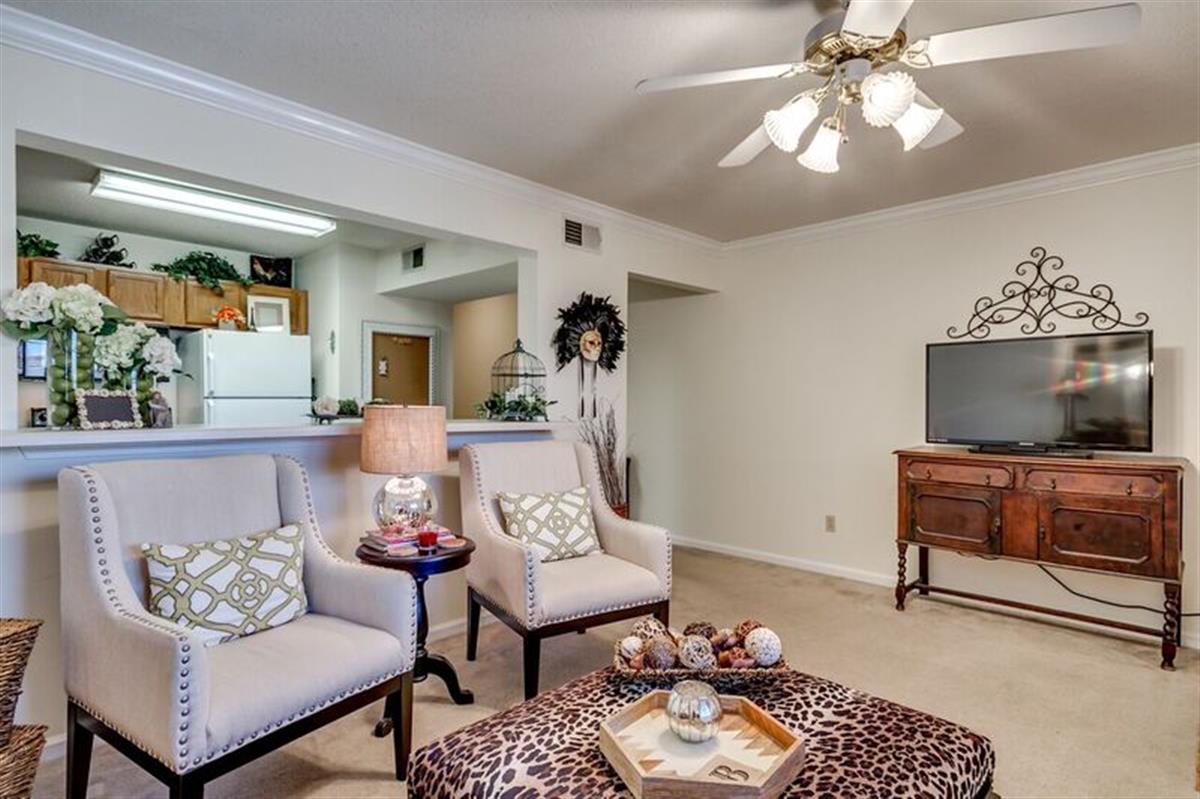 Bryant Drive Apartment in Tuscaloosa, AL